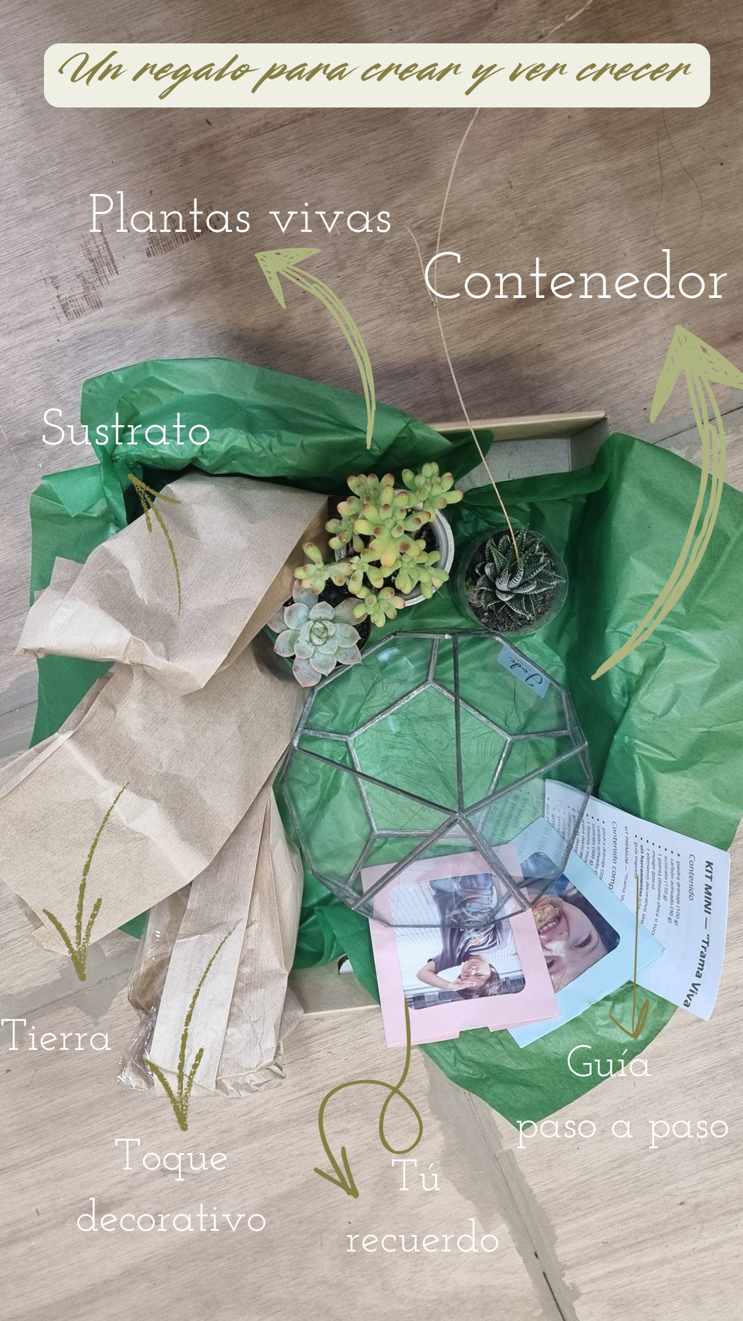 Kits Especiales